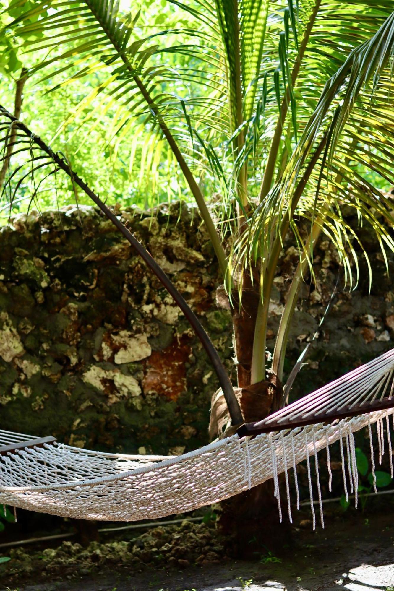 Embe Lodge Kizimkazi Exteriér fotografie