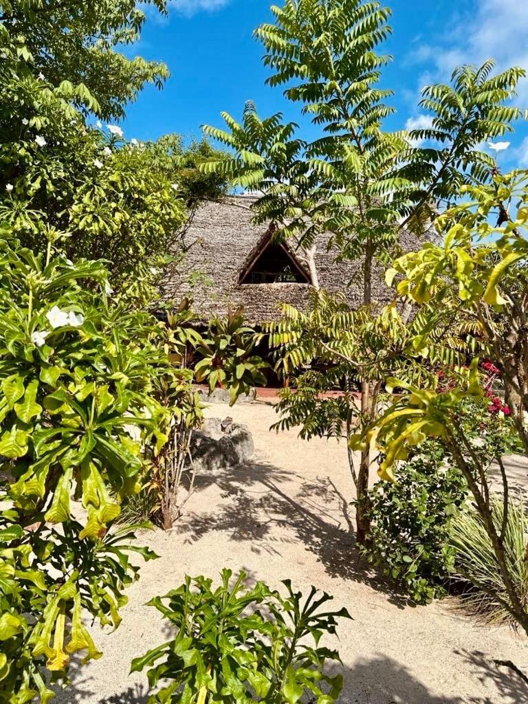 Embe Lodge Kizimkazi Exteriér fotografie